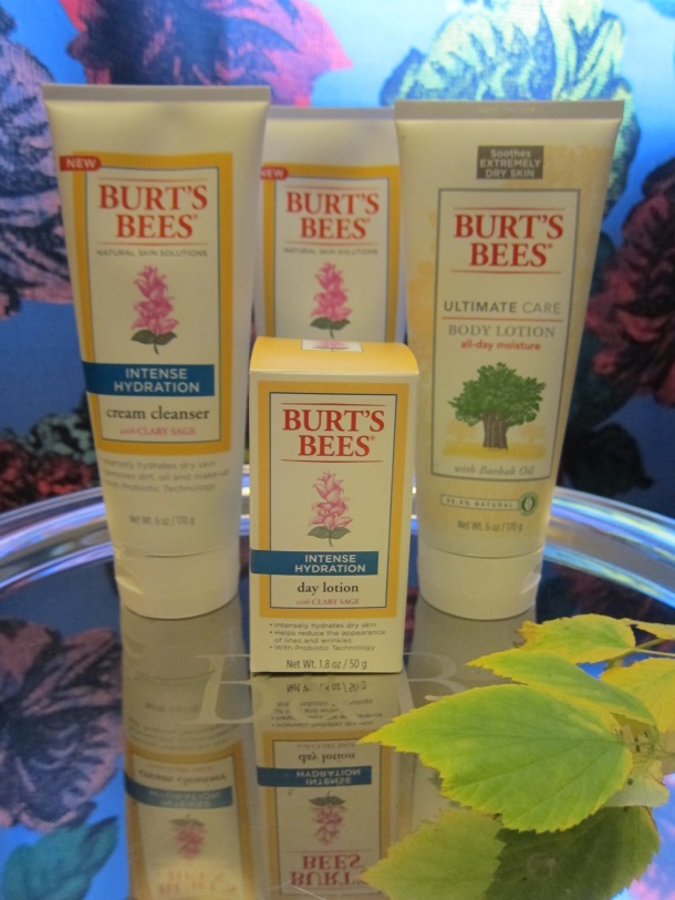 Burt's Bees Product Review_4289