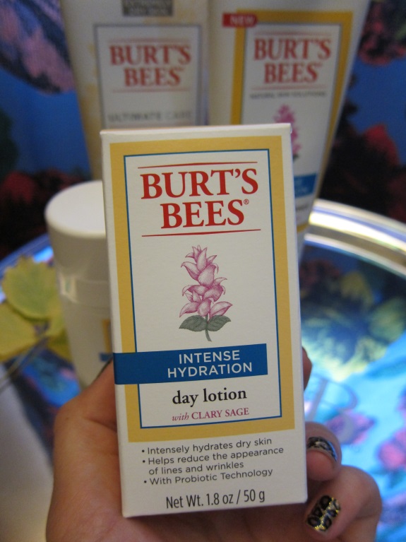 Burt's Bees Products-IMG_4314