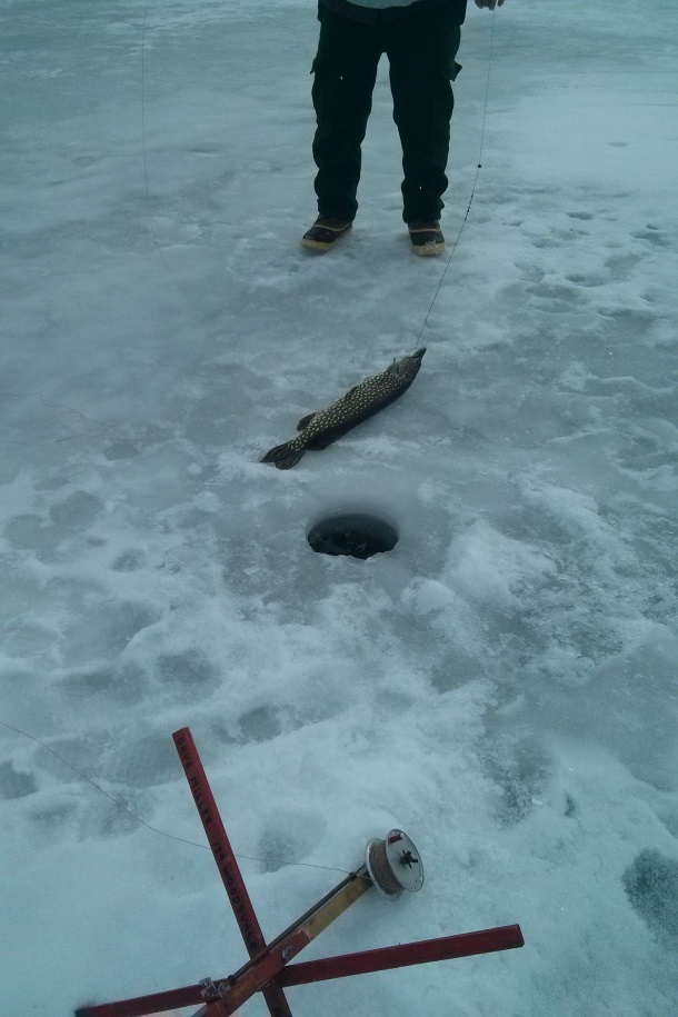 Ice Fishing on Bantam Lake in Connecticut_120443