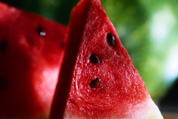 Watermelon Cocktail