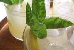 Basil Gimlet