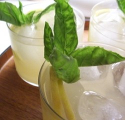 Basil Gimlet