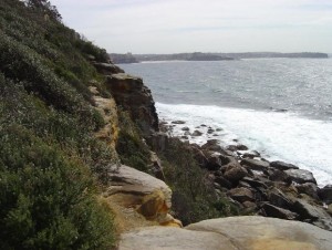 Manly Beach Trail in Australia