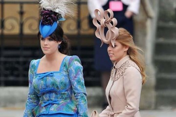 Philip Treacy hats at the Royal Wedding