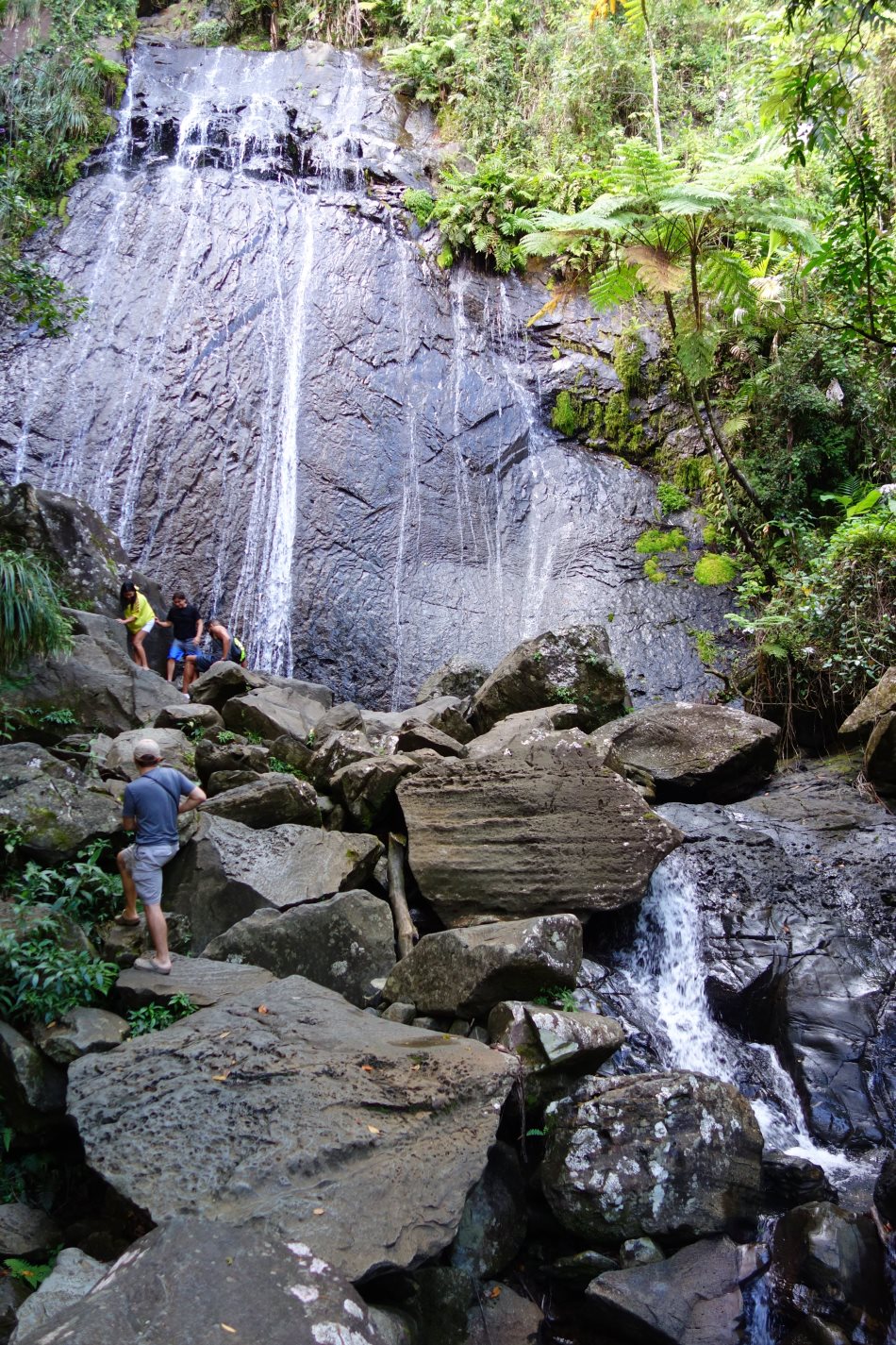 El Yunque National Rainforest-DSC09008