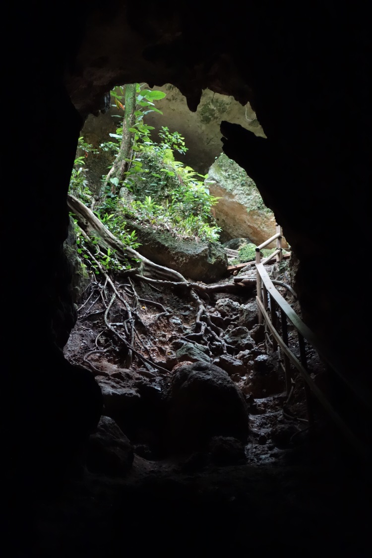 Cueva Ventana Puerto Rico-DSC01443