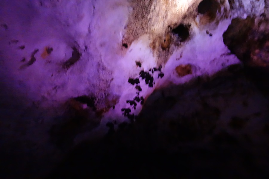 Cueva Ventana Puerto Rico-DSC01453