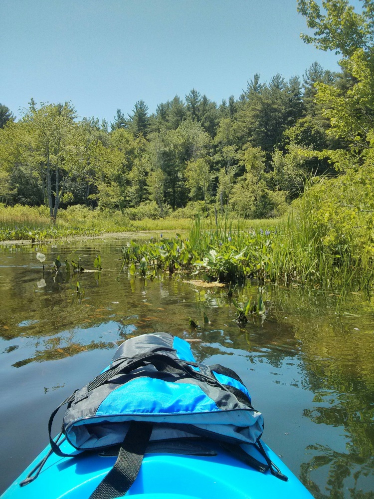 Kayaking in Connecticut-113521