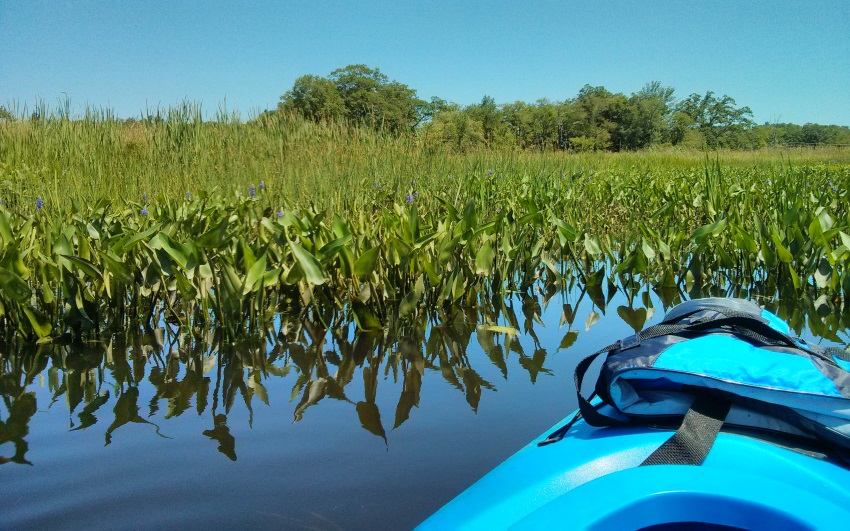 Kayaking in Connecticut-115230