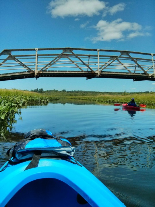 Kayaking in Connecticut Social Vixen