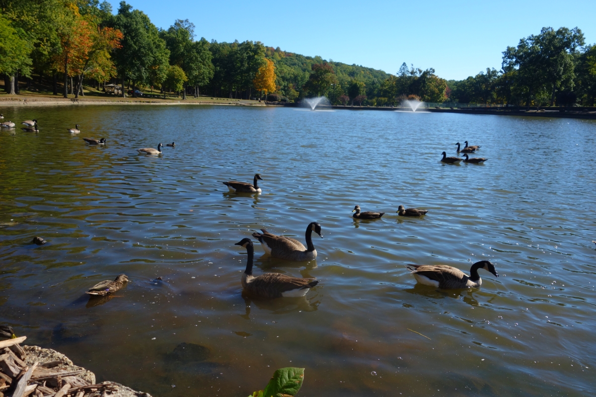 hubbard-park-in-meriden-dsc07296