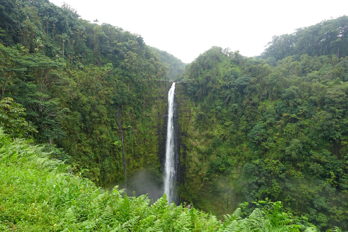 Akaka Falls, Hilo-DSC05220 (2)