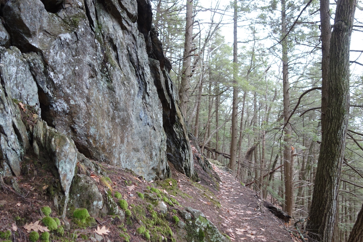 Lions Head Trail to Iron Bridge Hike-DSC04809