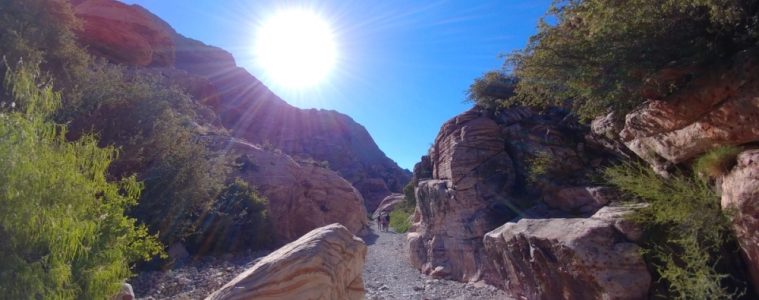 travel-archives-social-vixen